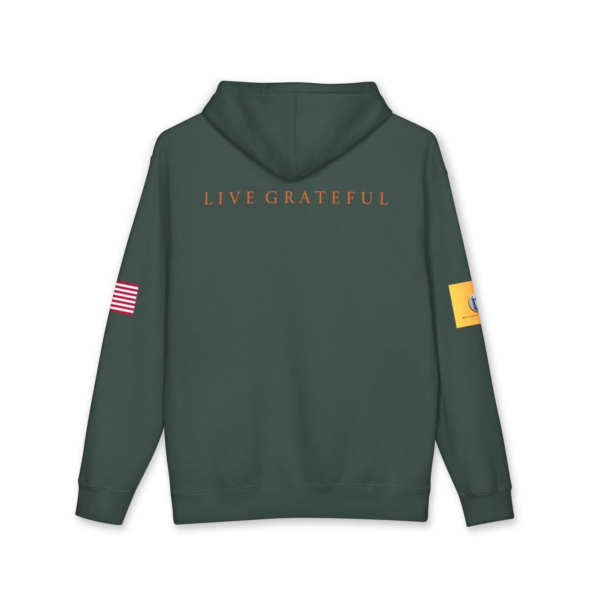 AI and or IT Gold Patch Hoodie — US Flag Sleeve Pullover