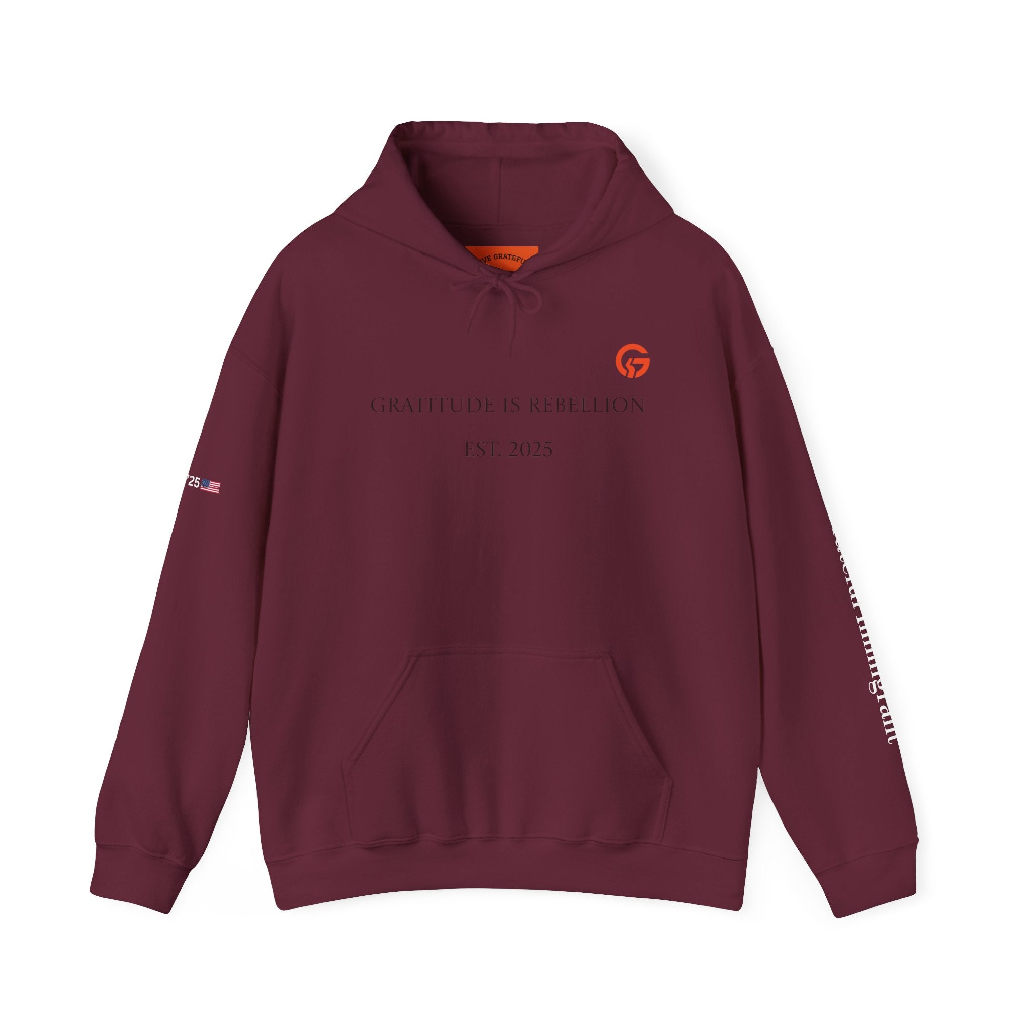 Gratitude Is Rebellion Hoodie WTXT — Live Grateful Sweatshirt