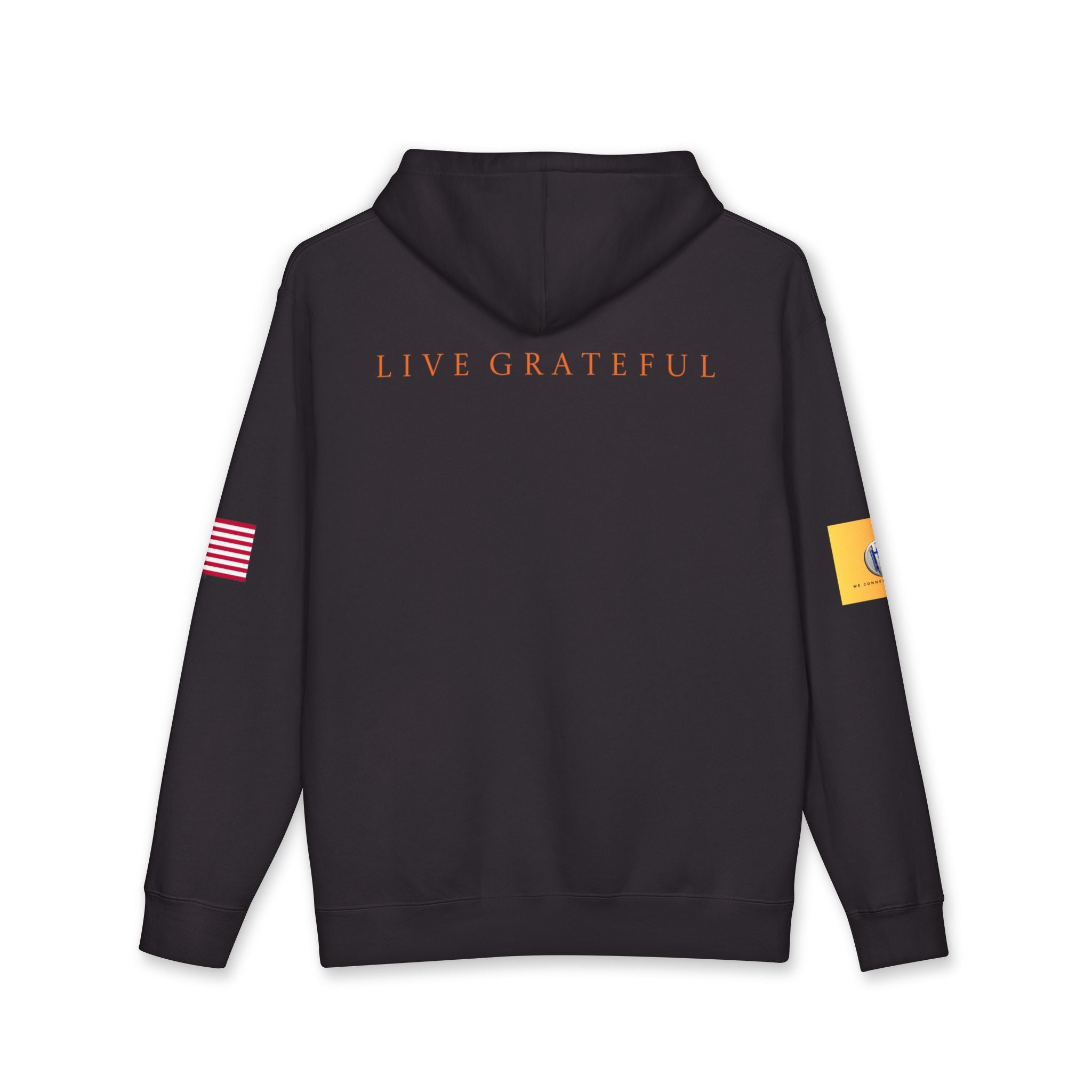 AI and or IT Gold Patch Hoodie — US Flag Sleeve Pullover