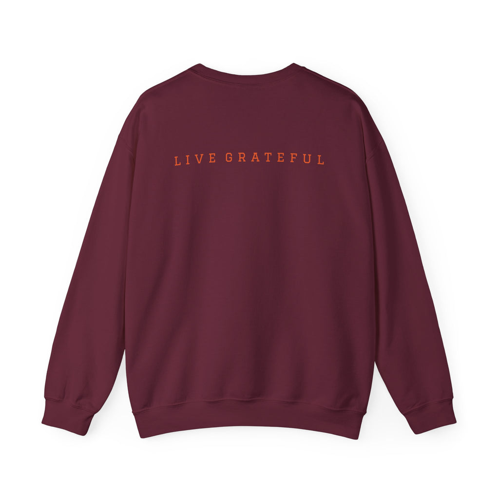 250 Grateful Seal Crewneck Sweatshirt — Retro American Flag '1776–2026' Circle Emblem with 'Live Grateful' Back
