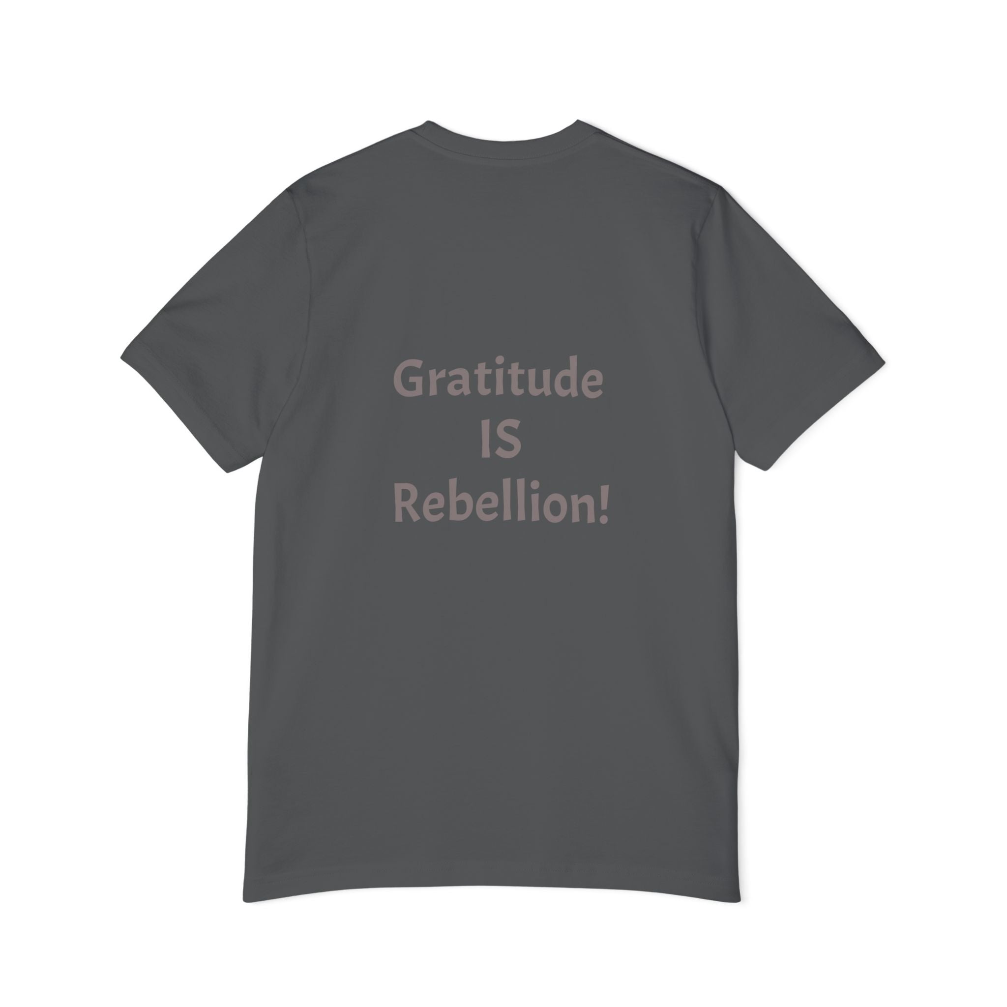 Gratitude Is Rebellion T-Shirt — "In a world of takers and complainers" Inspirational Tee