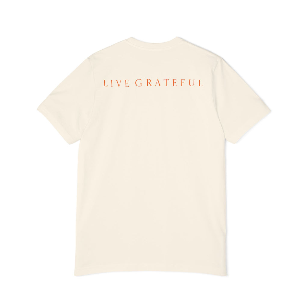 Patriotic '250' Graphic Tee — Live Grateful Back Print