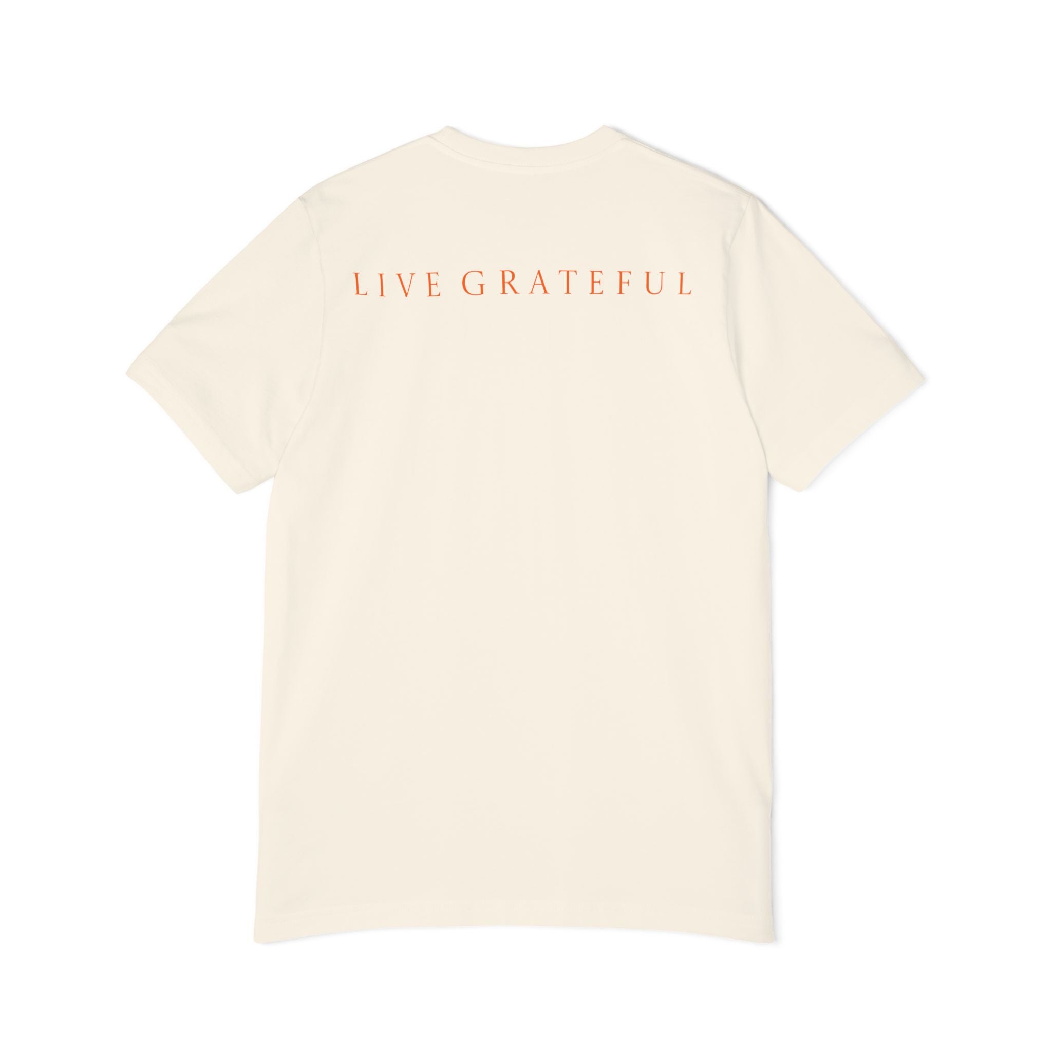 Patriotic '250' Graphic Tee — Live Grateful Back Print
