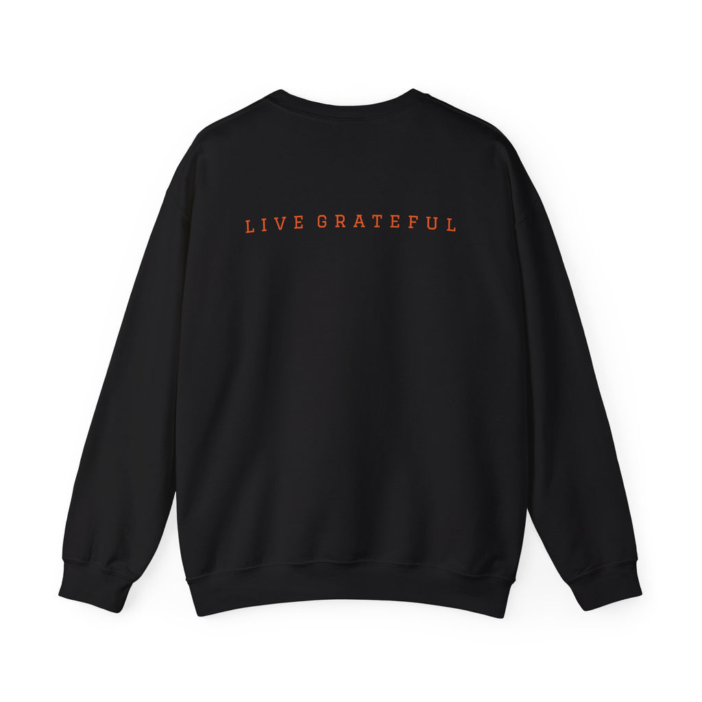 250 Grateful Seal Crewneck Sweatshirt — Retro American Flag '1776–2026' Circle Emblem with 'Live Grateful' Back