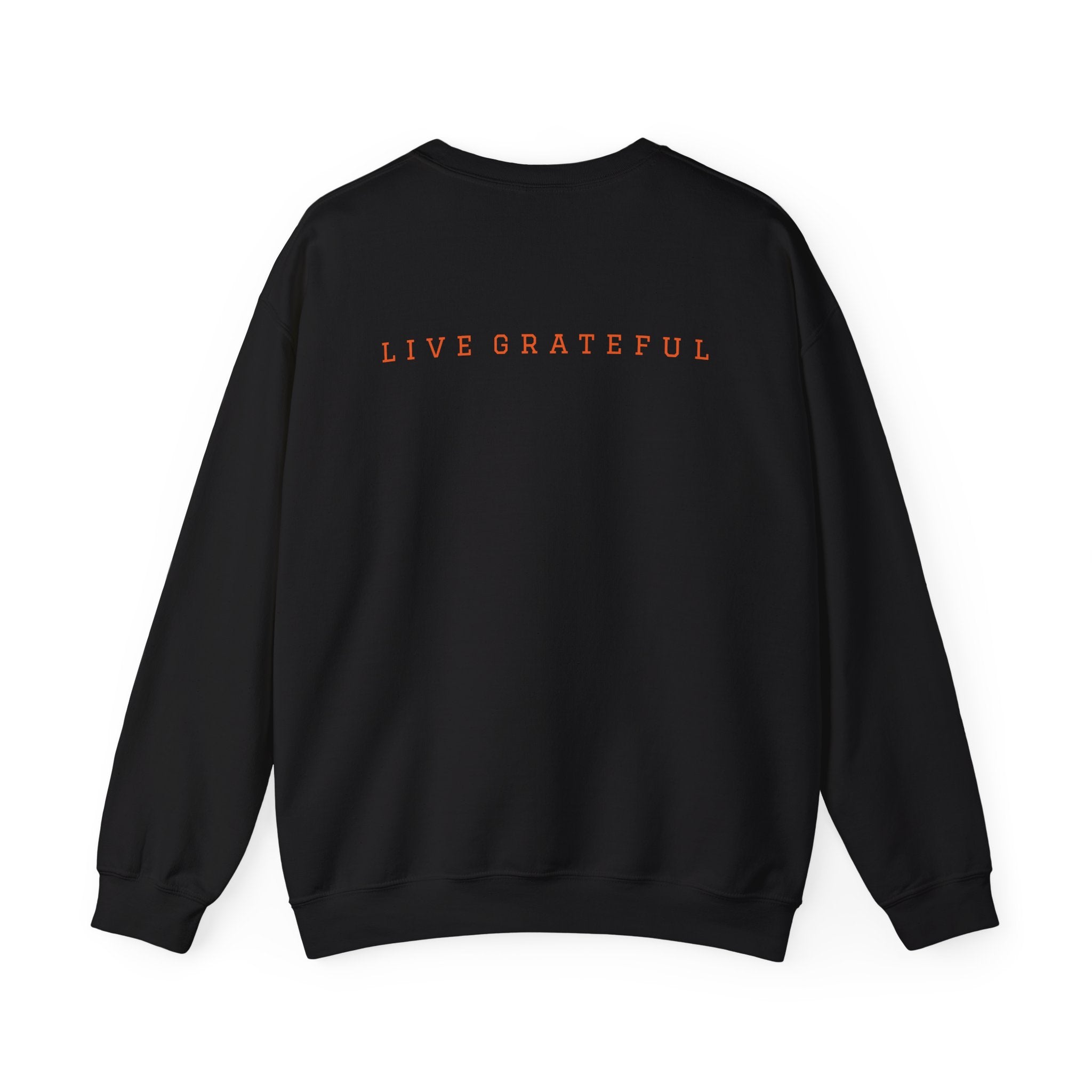 250 Grateful Seal Crewneck Sweatshirt — Retro American Flag '1776–2026' Circle Emblem with 'Live Grateful' Back