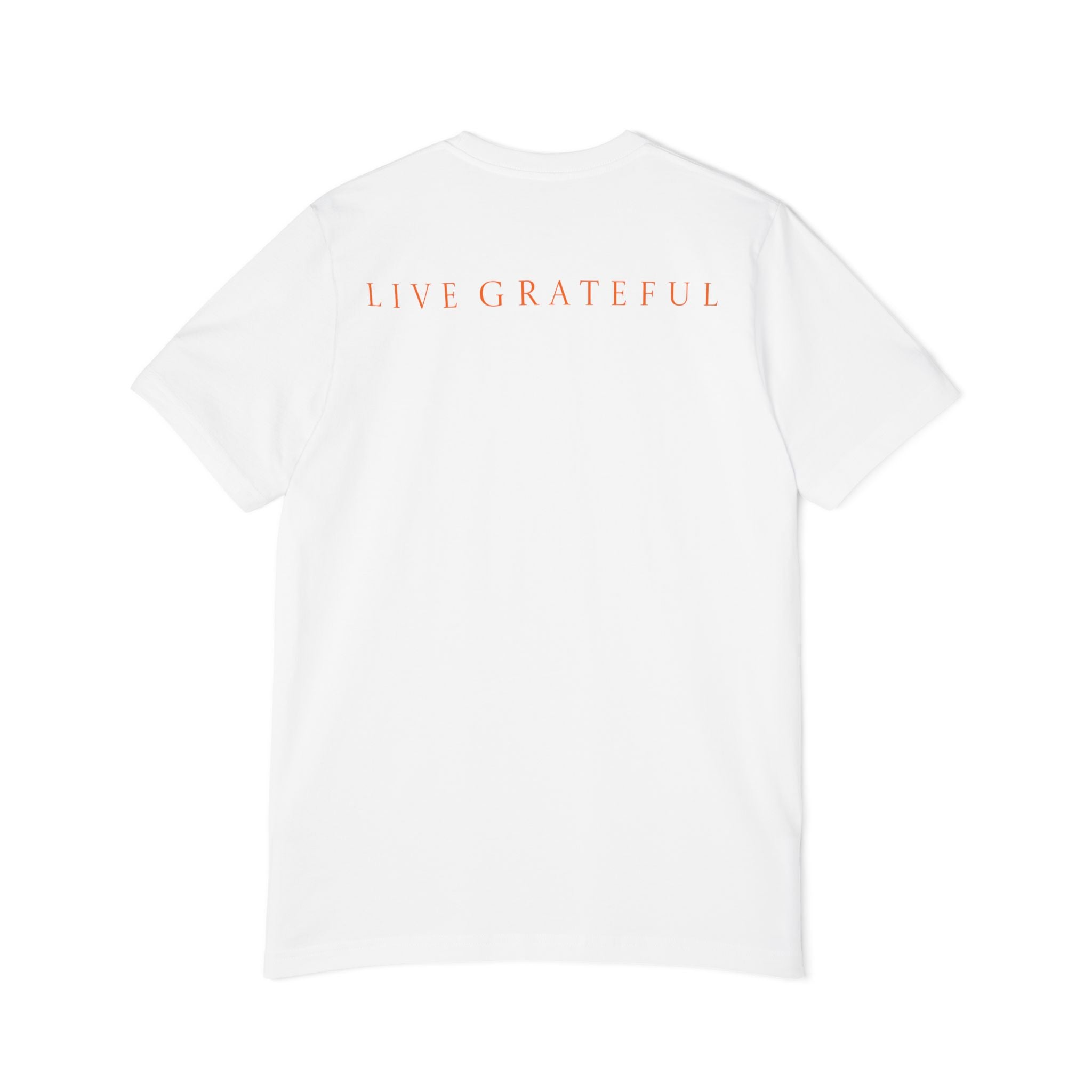 Patriotic '250' Graphic Tee — Live Grateful Back Print