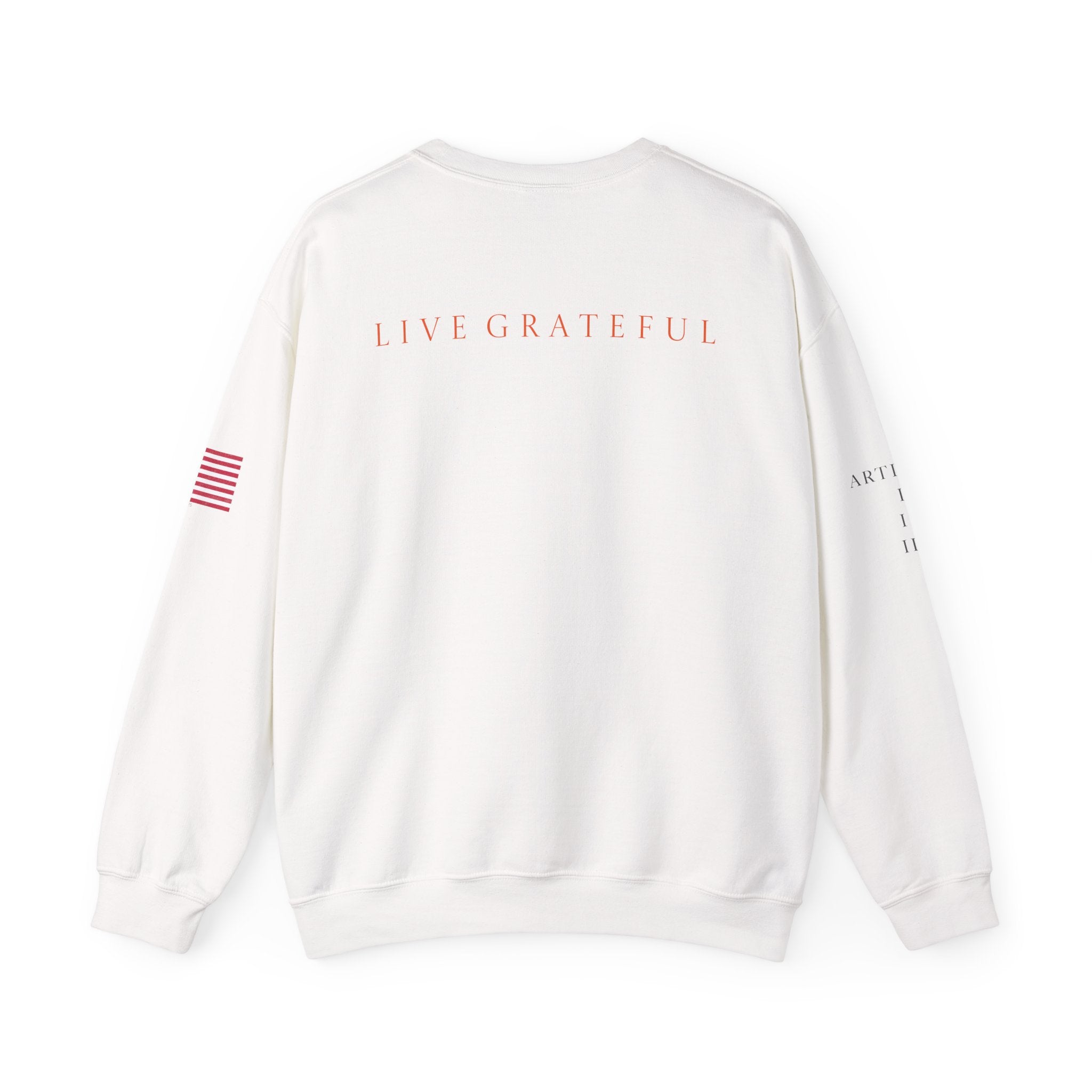 Grateful Patriotic ARTICLE, BALD EAGLE, FLAG Crewneck Sweatshirt — Minimalist Flag Sleeve Pullover