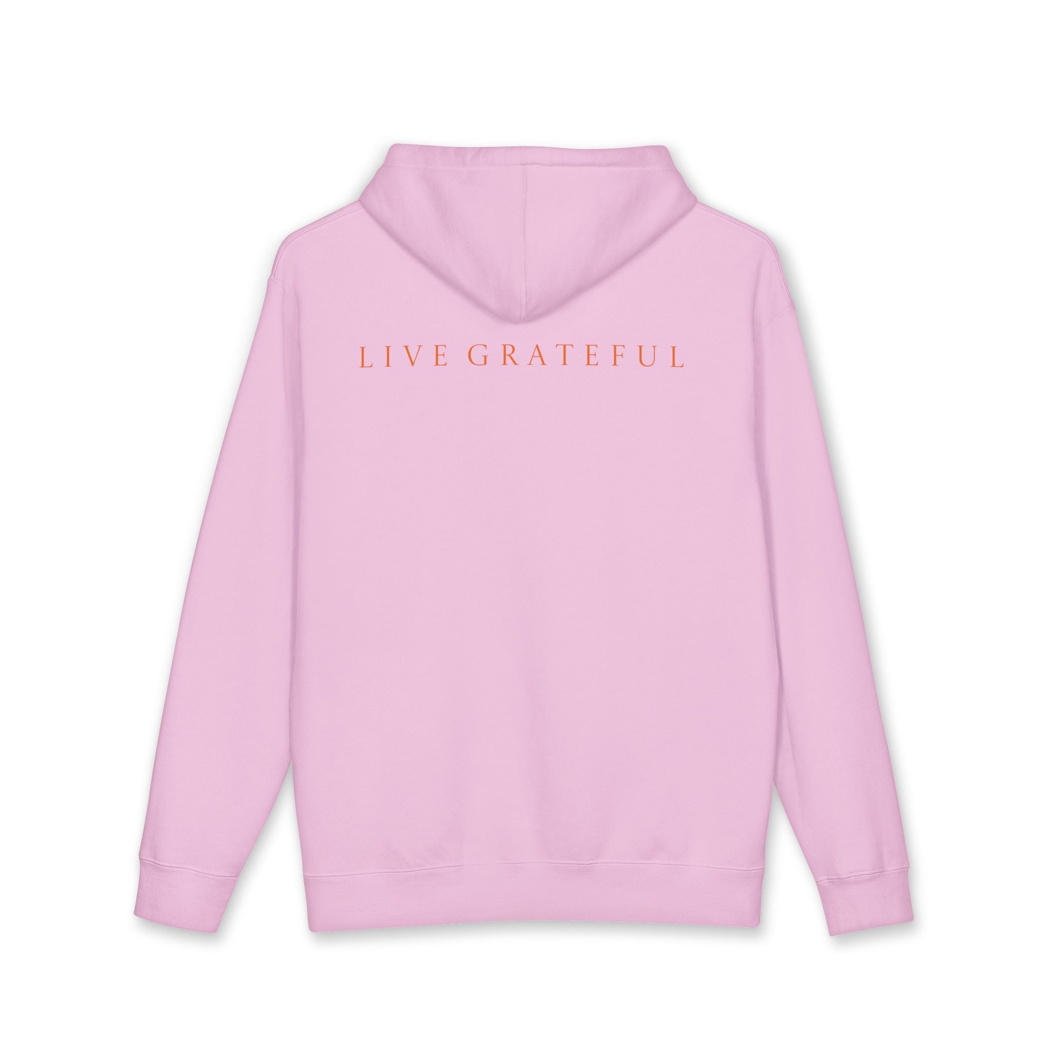 250 Grateful Years  Heavy Premium American Grateful Hoodie