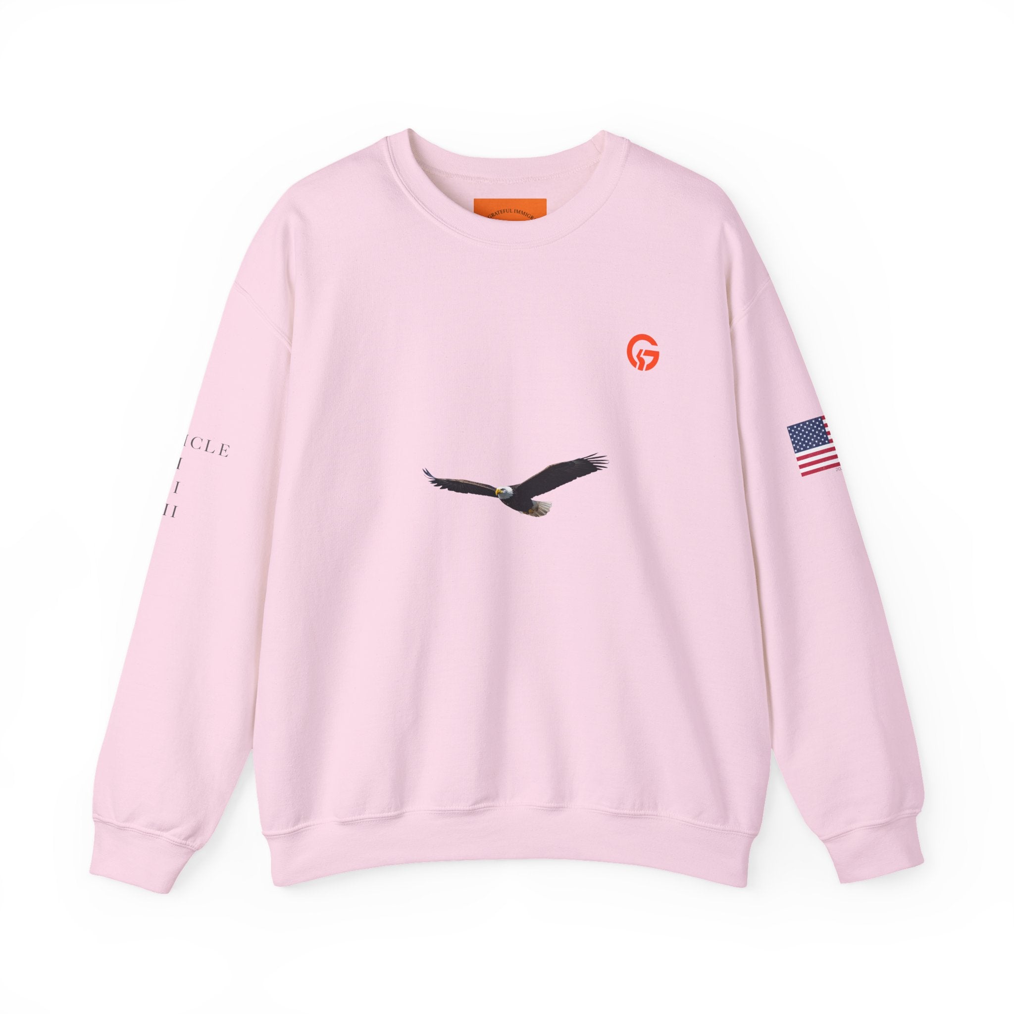 Grateful Patriotic ARTICLE, BALD EAGLE, FLAG Crewneck Sweatshirt — Minimalist Flag Sleeve Pullover