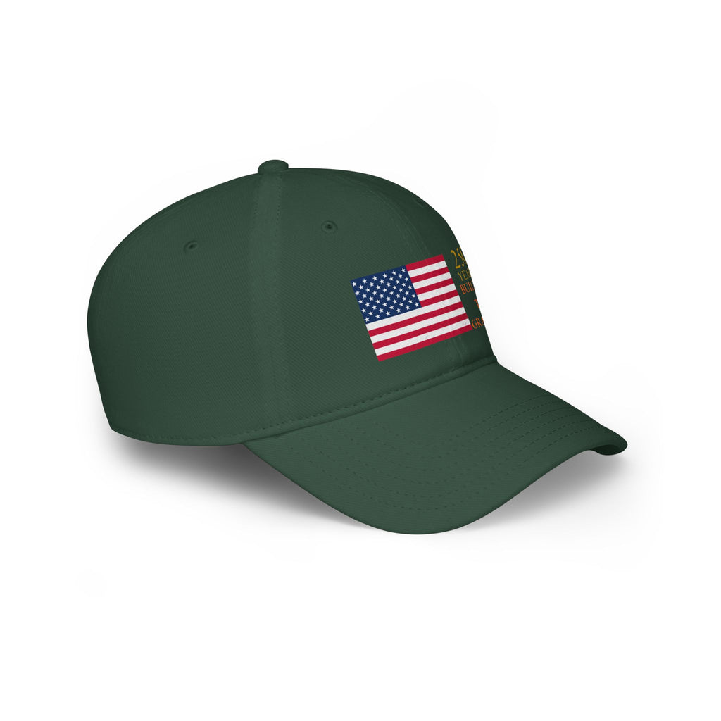 American Flag 250th Anniversary Low Profile Baseball Cap