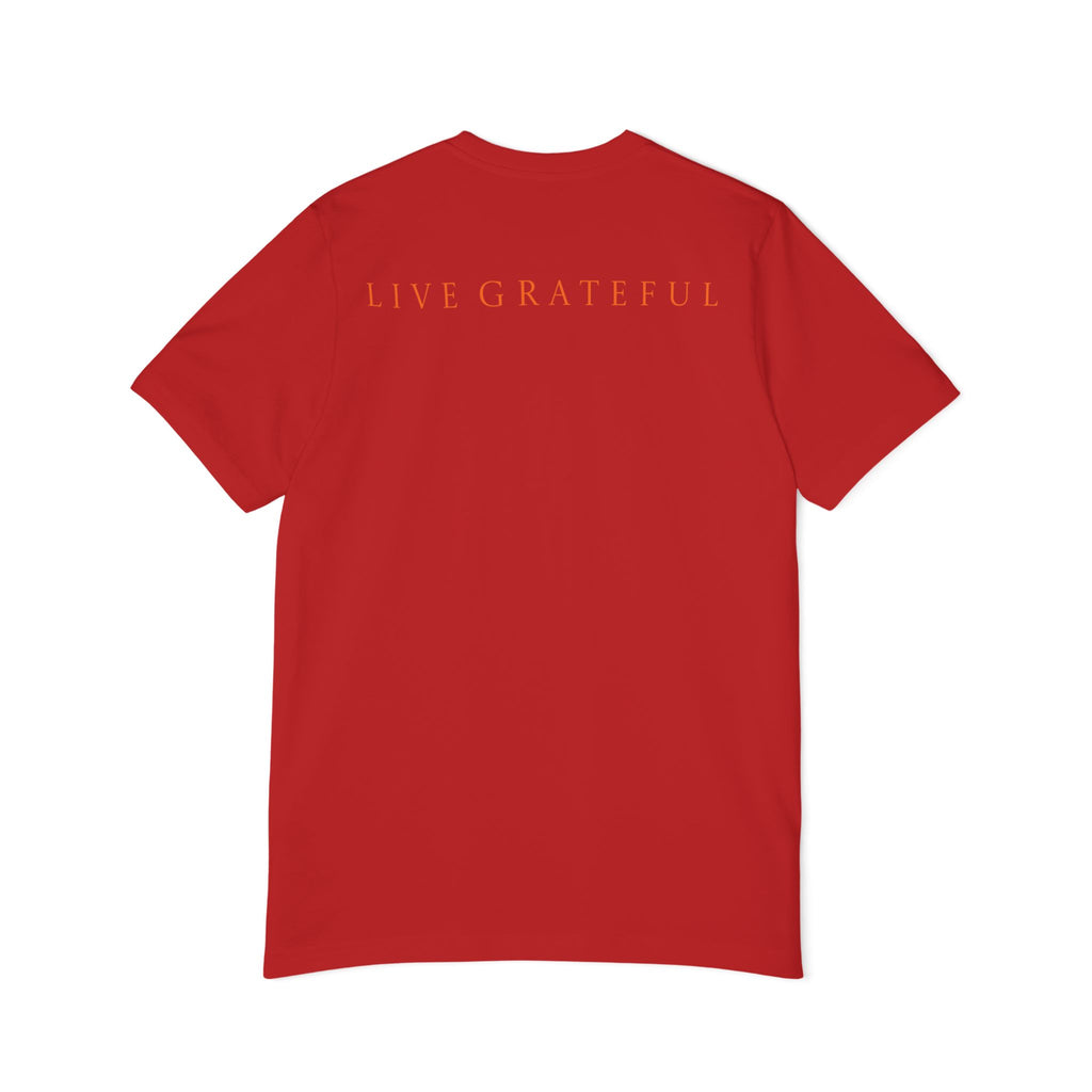 Patriotic '250' Graphic Tee — Live Grateful Back Print