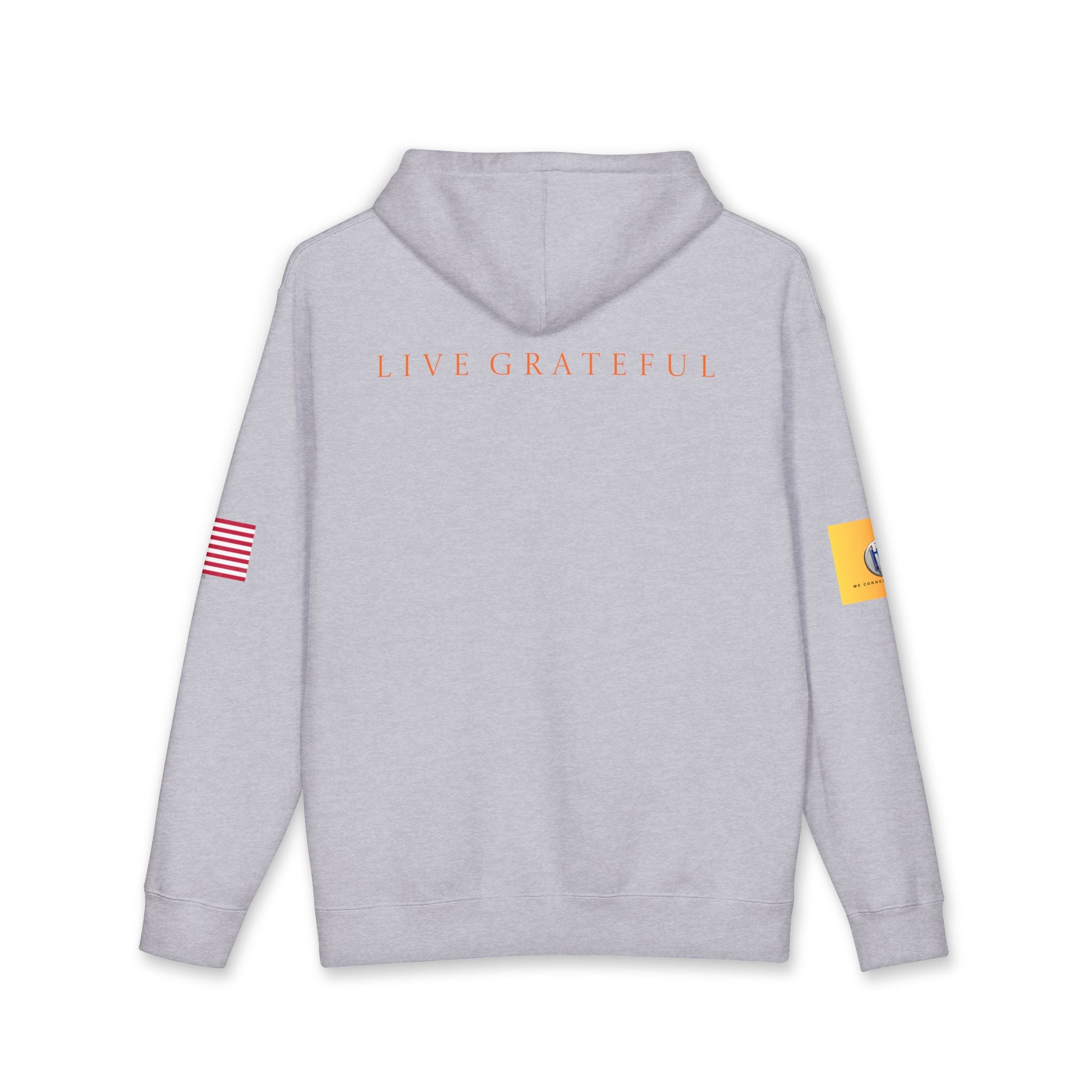 AI and or IT Gold Patch Hoodie — US Flag Sleeve Pullover