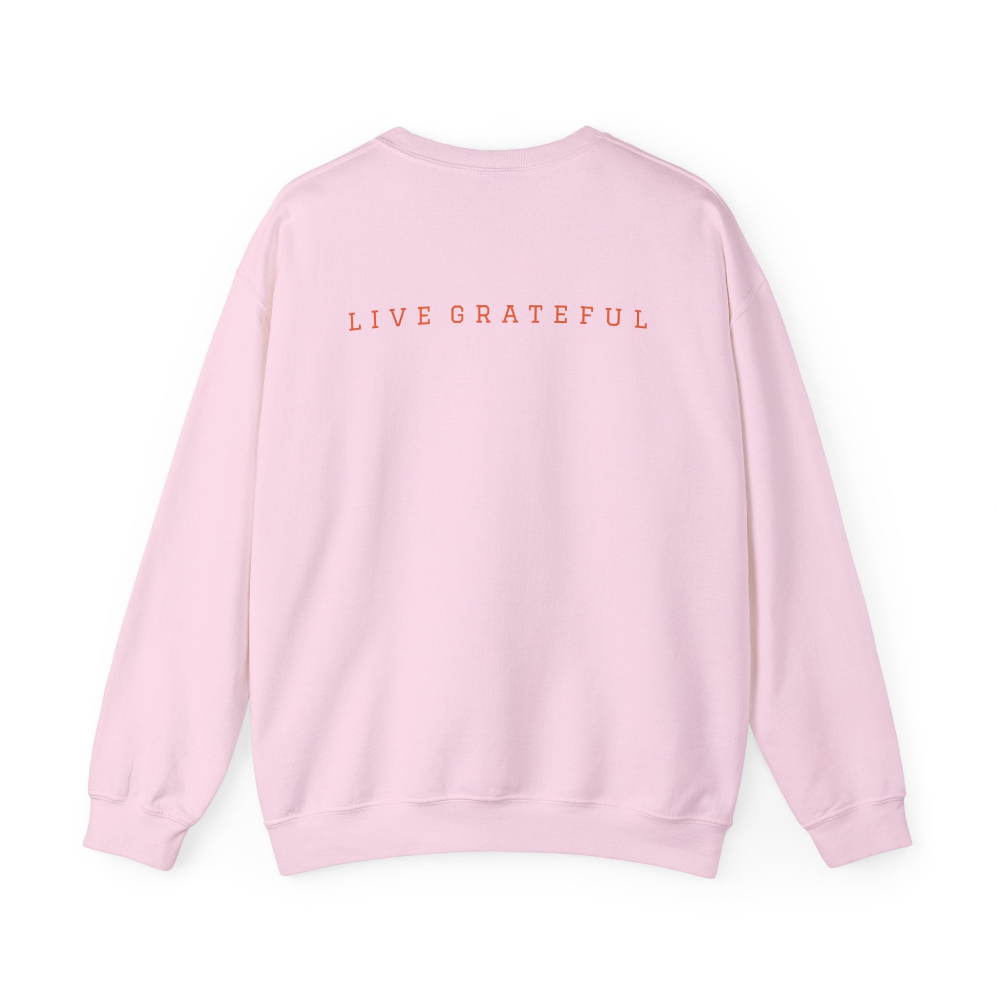 250 Grateful Seal Crewneck Sweatshirt Blk Txt — Retro American Flag '1776–2026' Circle Emblem with 'Live Grateful' Back