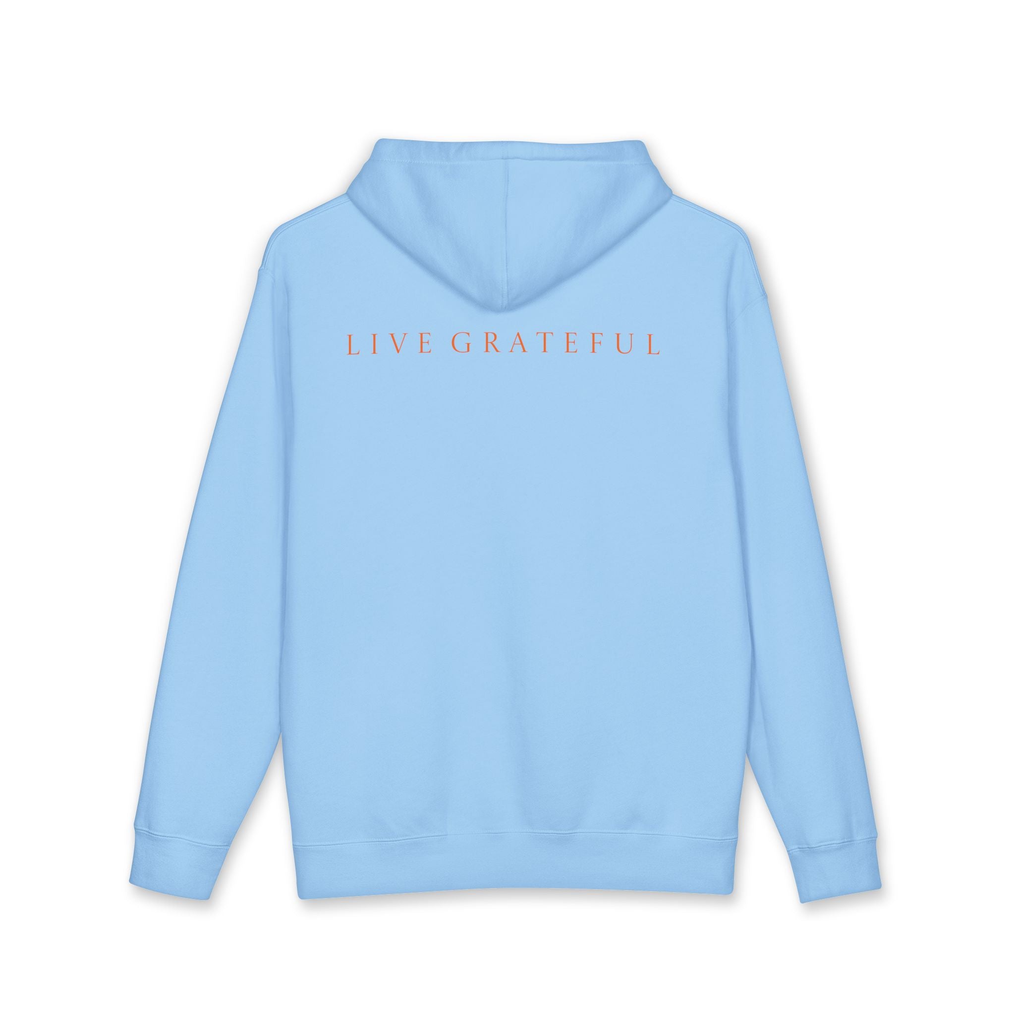 250 Grateful Years  Heavy Premium American Grateful Hoodie