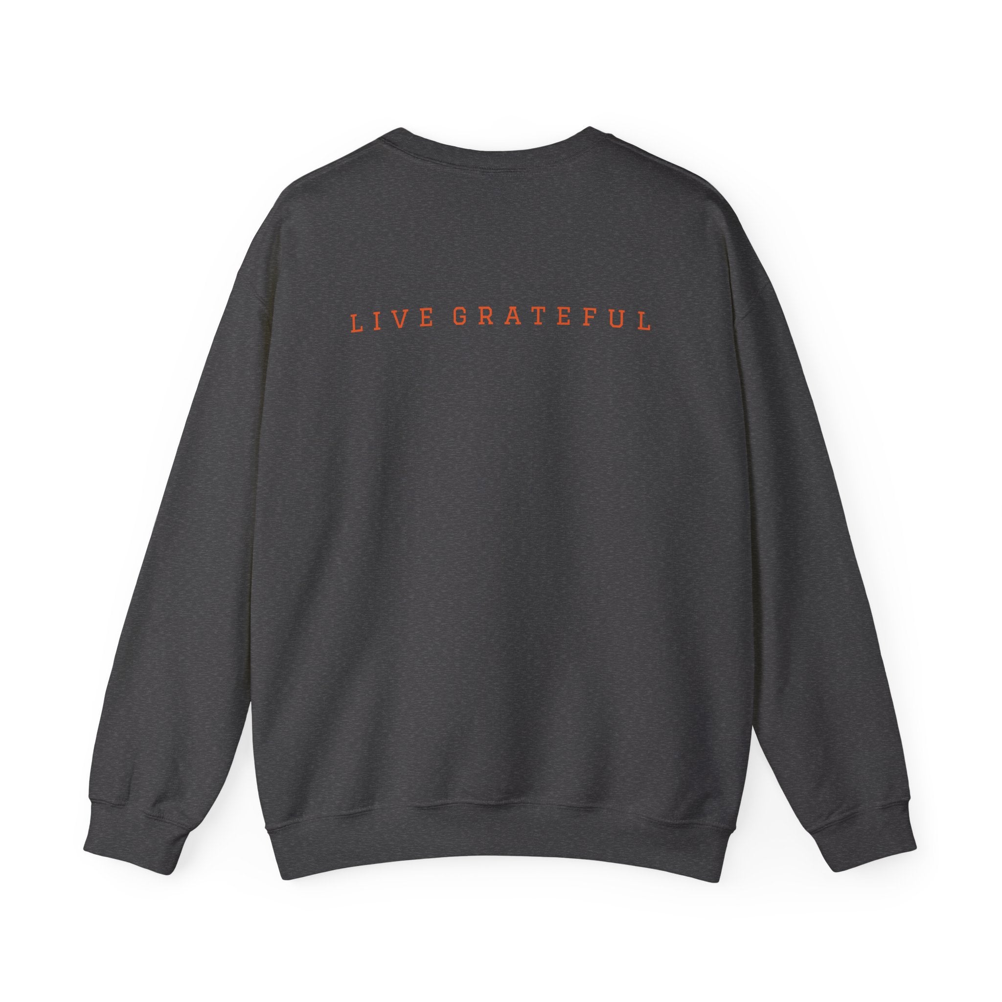 250 Grateful Seal Crewneck Sweatshirt — Retro American Flag '1776–2026' Circle Emblem with 'Live Grateful' Back