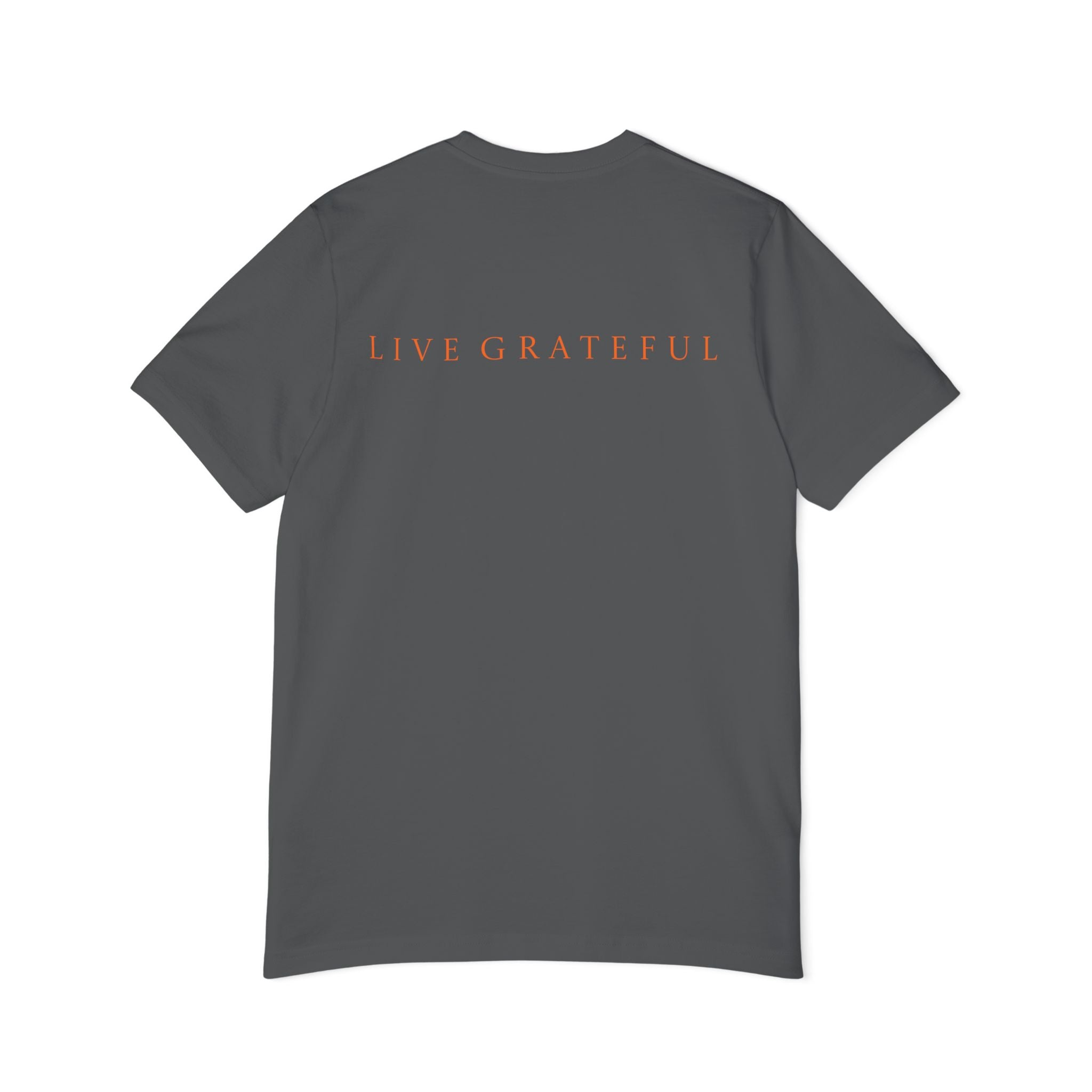 Patriotic USA Map T-Shirt — "250" Flag Design with “Live Grateful” Back