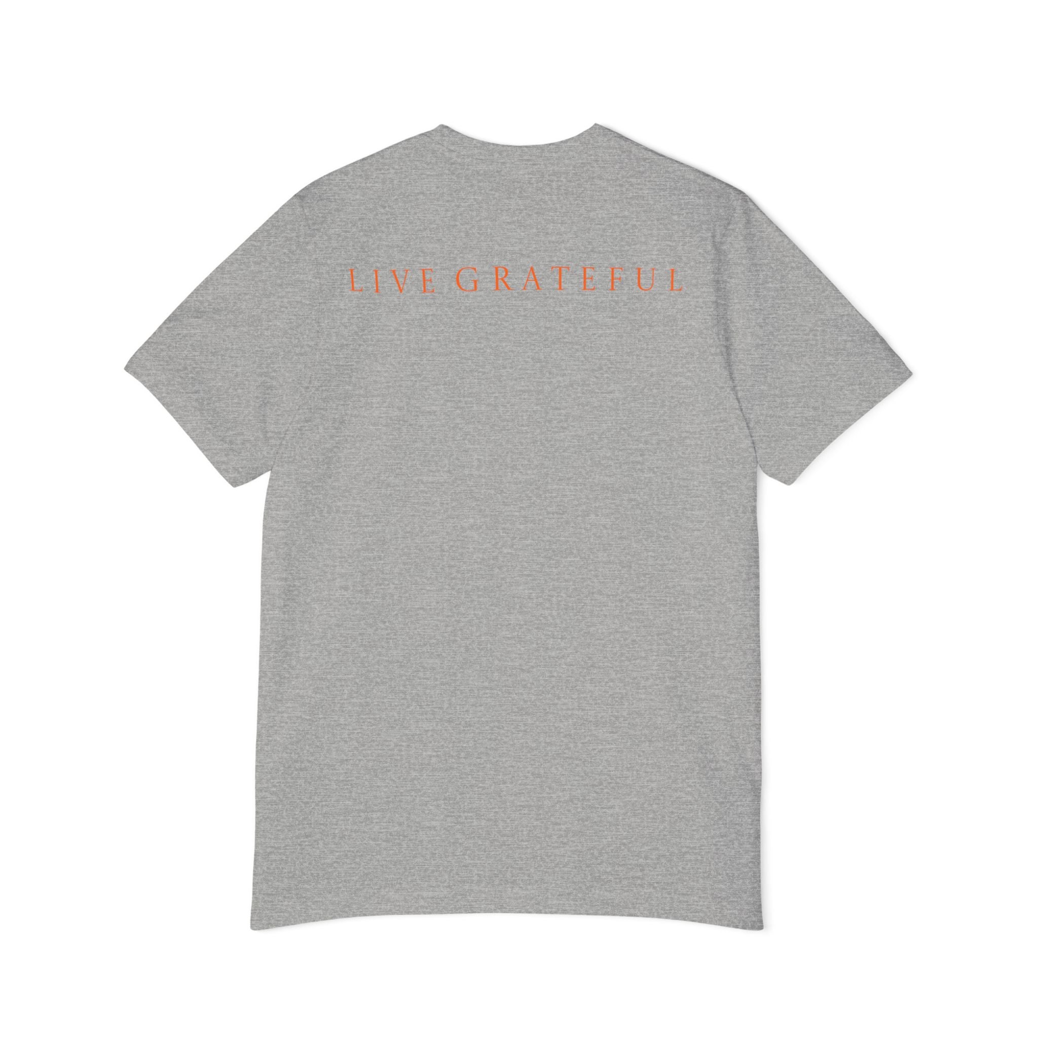 Patriotic '250' Graphic Tee — Live Grateful Back Print