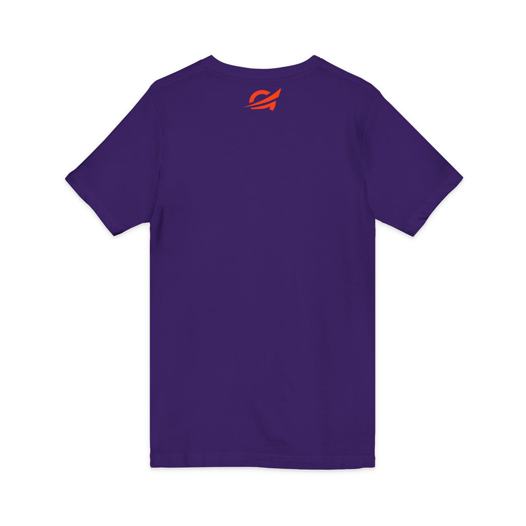 Minnesota Grateful V-Neck Tee — State Pride Casual Shirt