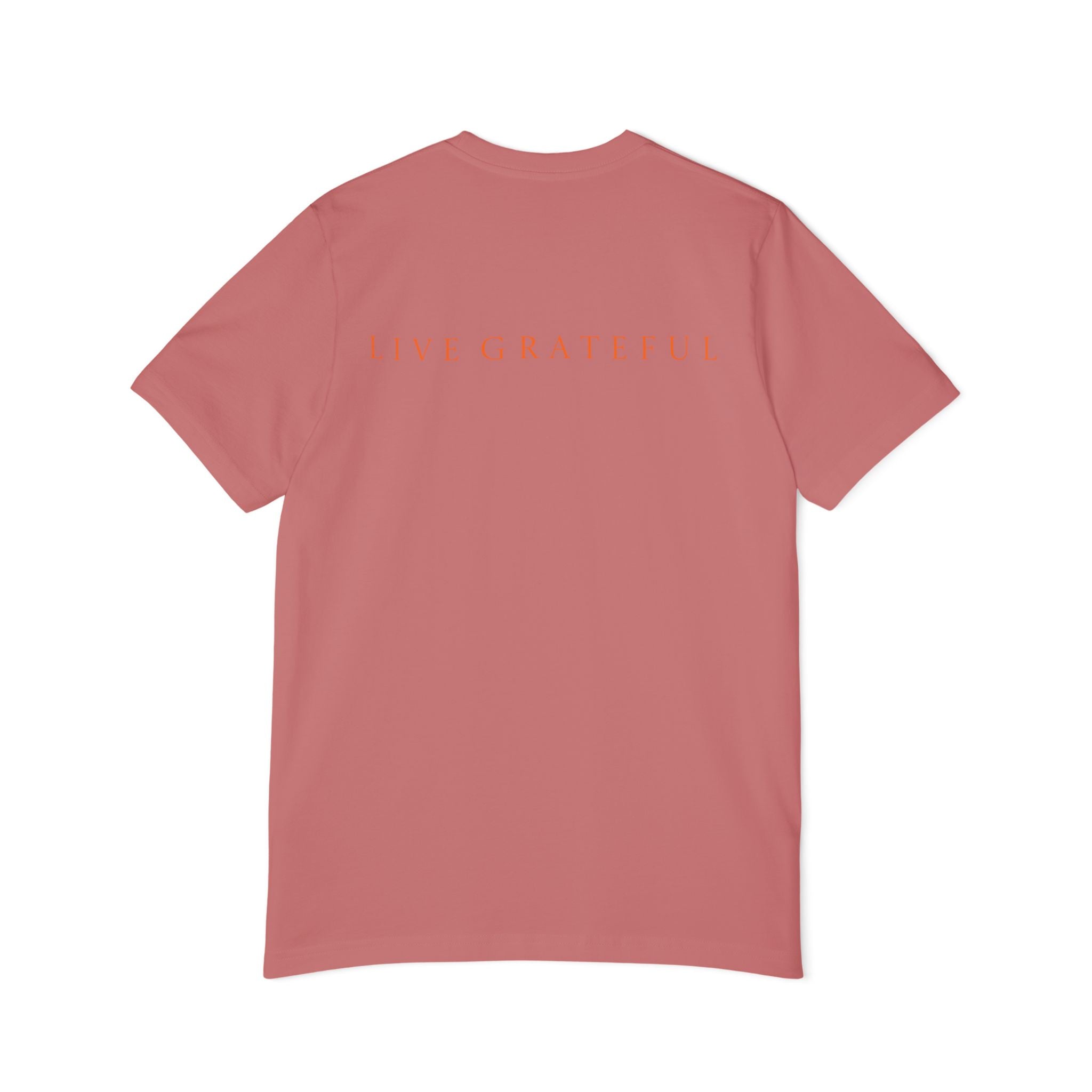Patriotic USA Map T-Shirt — "250" Flag Design with “Live Grateful” Back