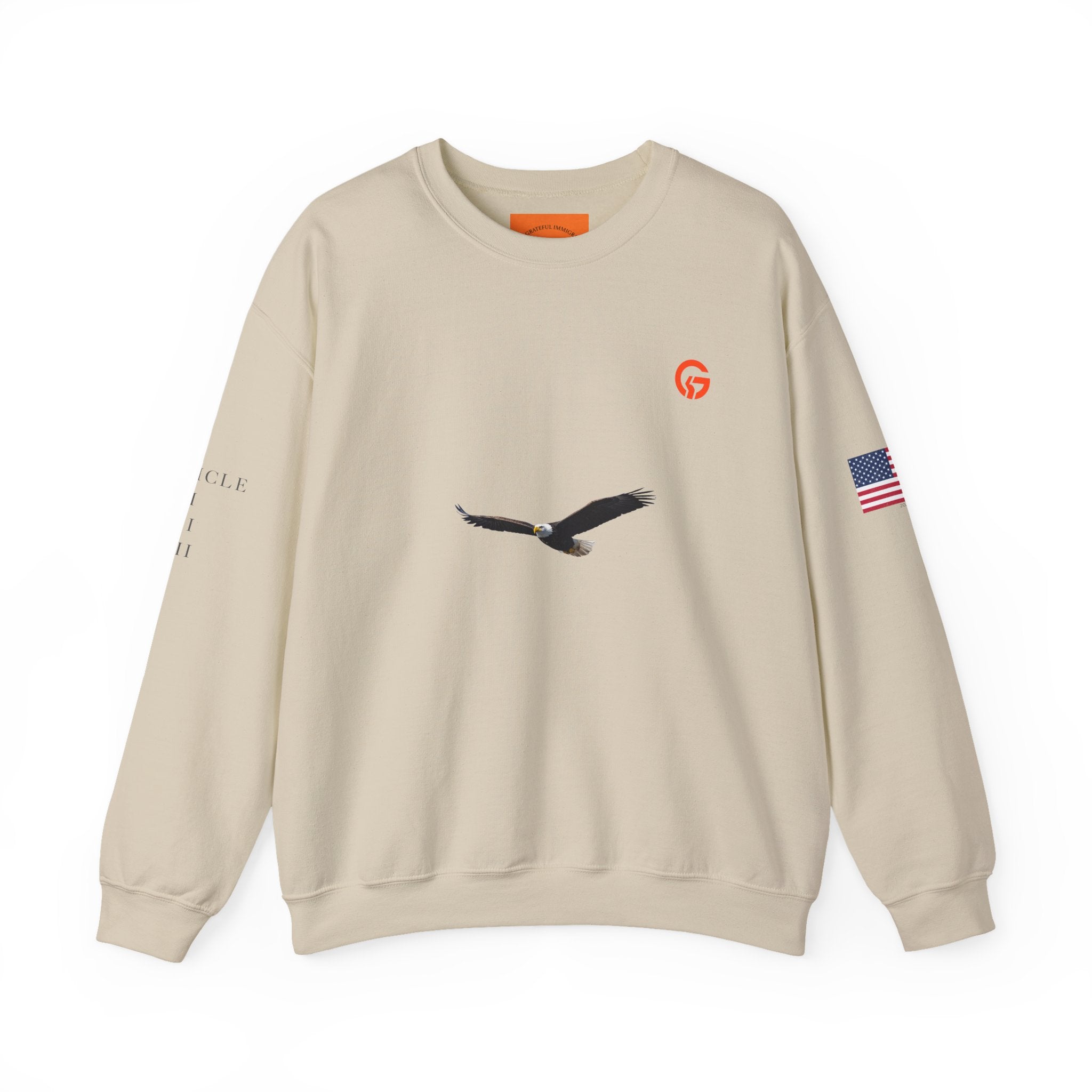 Grateful Patriotic ARTICLE, BALD EAGLE, FLAG Crewneck Sweatshirt — Minimalist Flag Sleeve Pullover