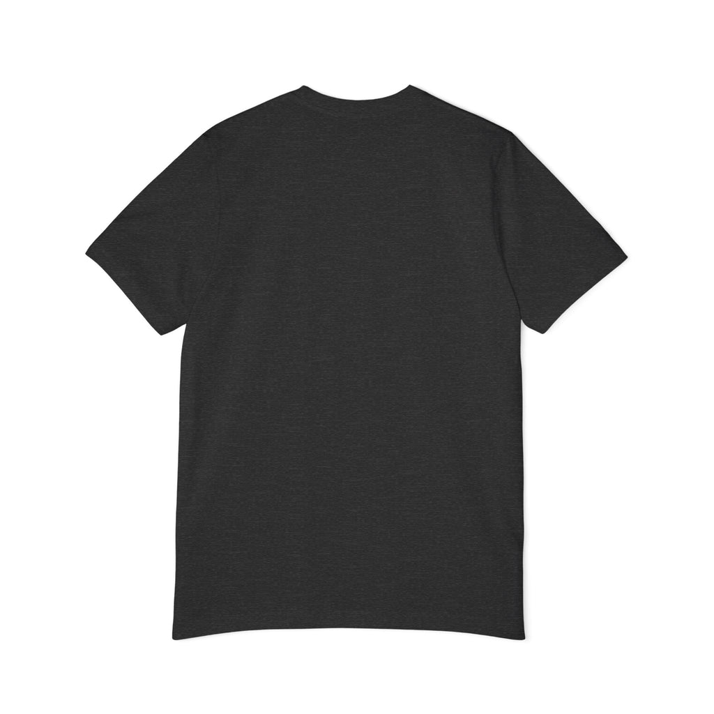 Allegiant Flag T-Shirt — Vintage American Flag Graphic Tee