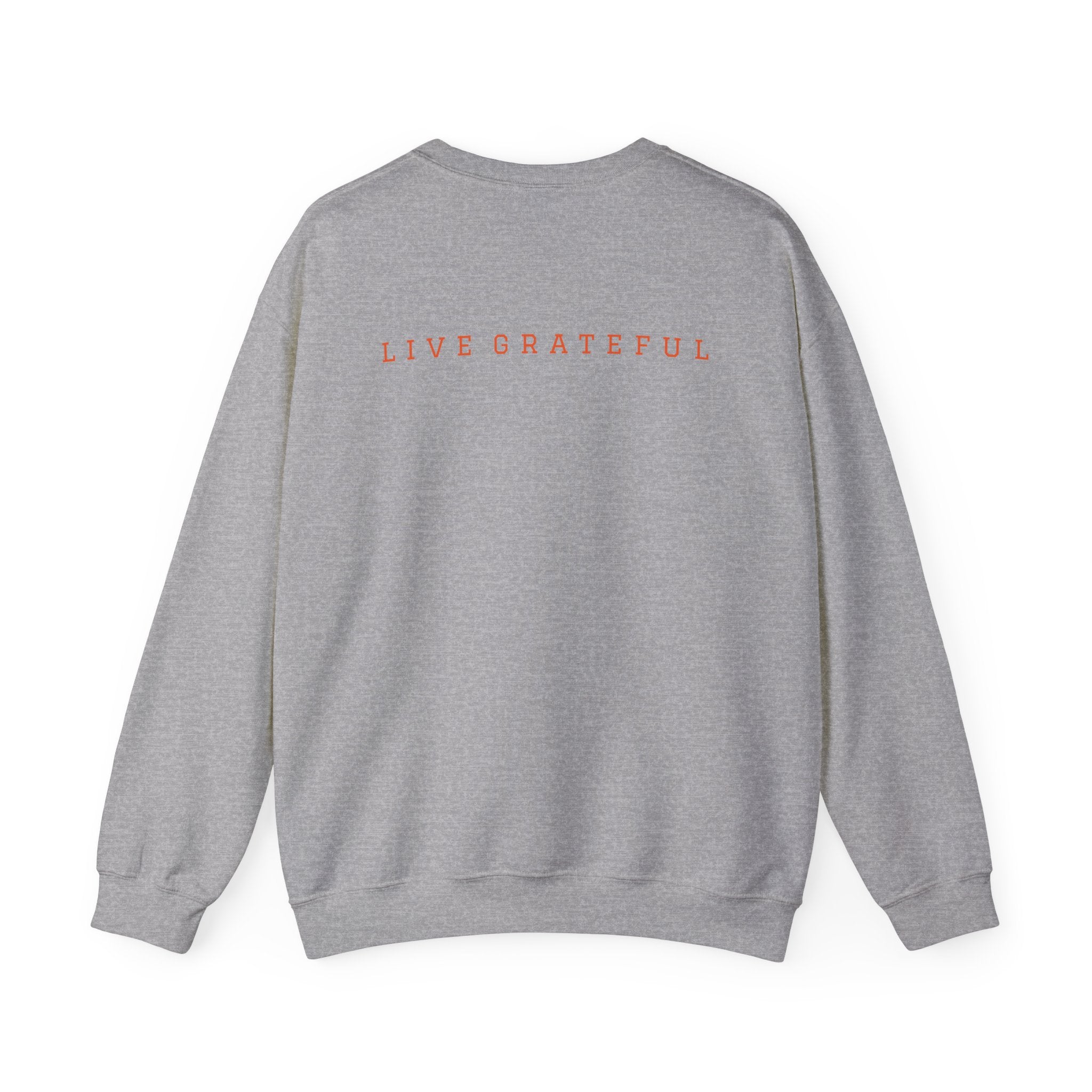 250 Grateful Seal Crewneck Sweatshirt Blk Txt — Retro American Flag '1776–2026' Circle Emblem with 'Live Grateful' Back