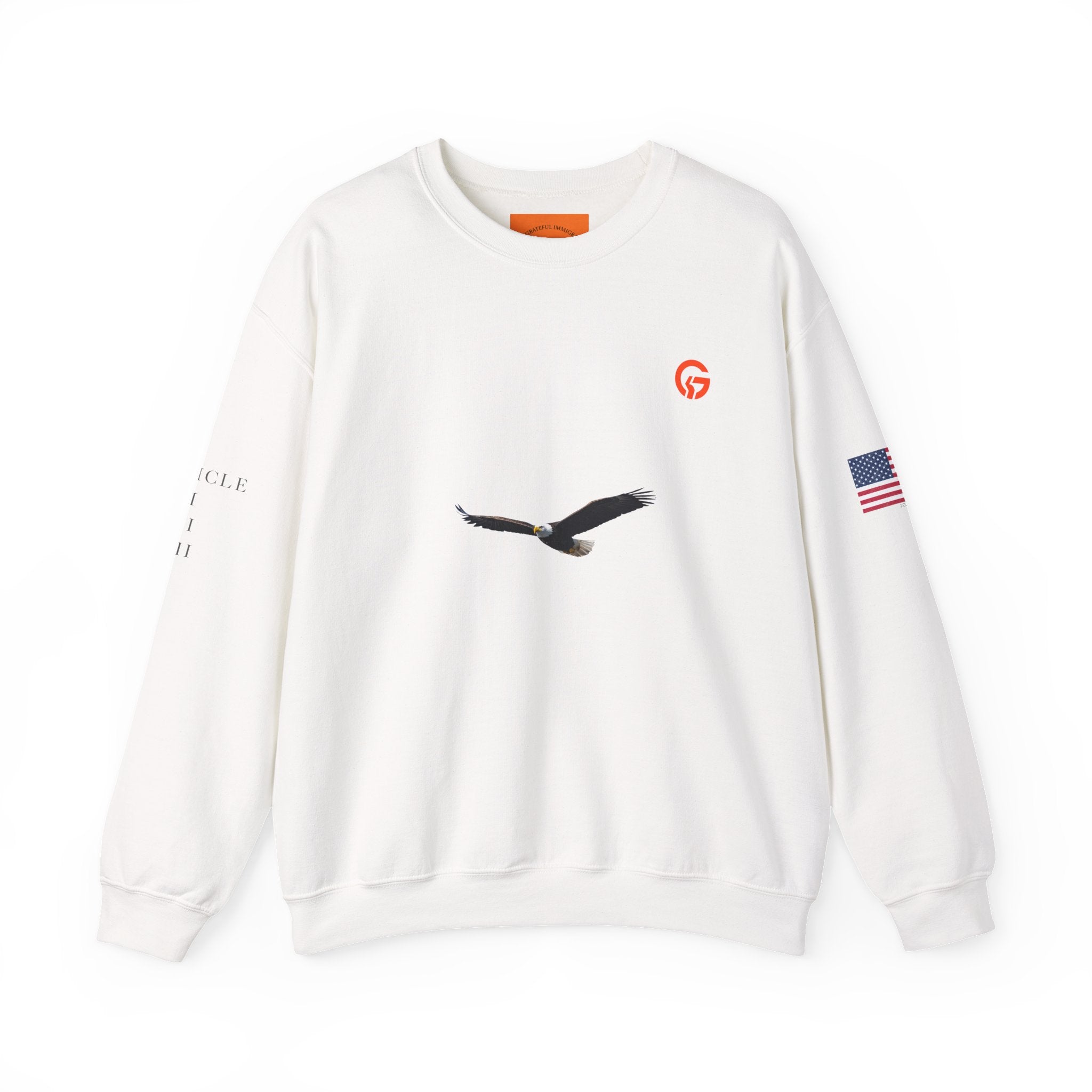 Grateful Patriotic ARTICLE, BALD EAGLE, FLAG Crewneck Sweatshirt — Minimalist Flag Sleeve Pullover