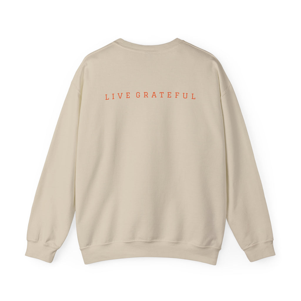250 Grateful Seal Crewneck Sweatshirt — Retro American Flag '1776–2026' Circle Emblem with 'Live Grateful' Back