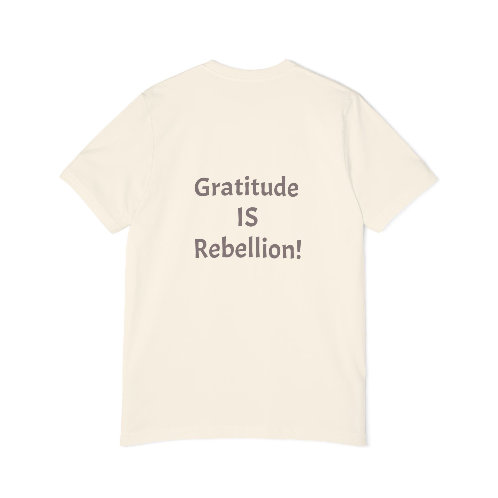 Gratitude Is Rebellion T-Shirt — "In a world of takers and complainers" Inspirational Tee