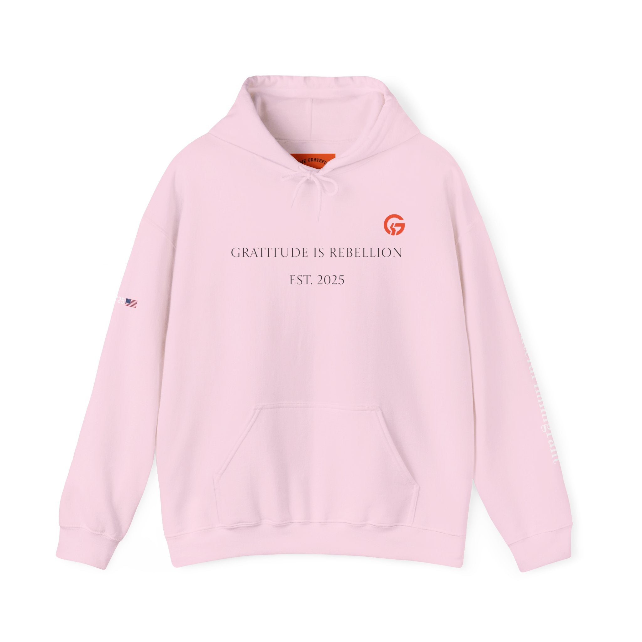 Gratitude Is Rebellion Hoodie WTXT — Live Grateful Sweatshirt