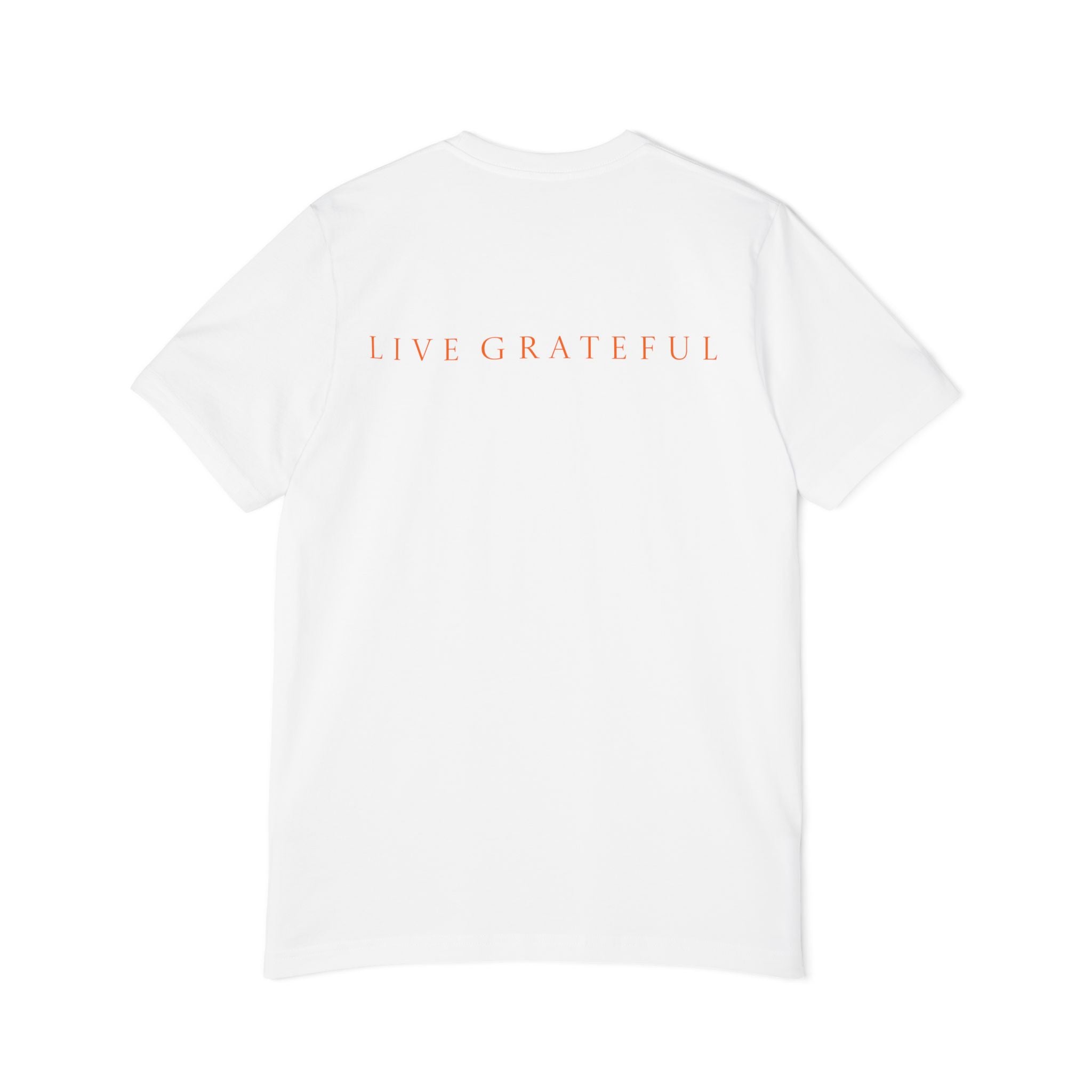 Patriotic USA Map T-Shirt — "250" Flag Design with “Live Grateful” Back