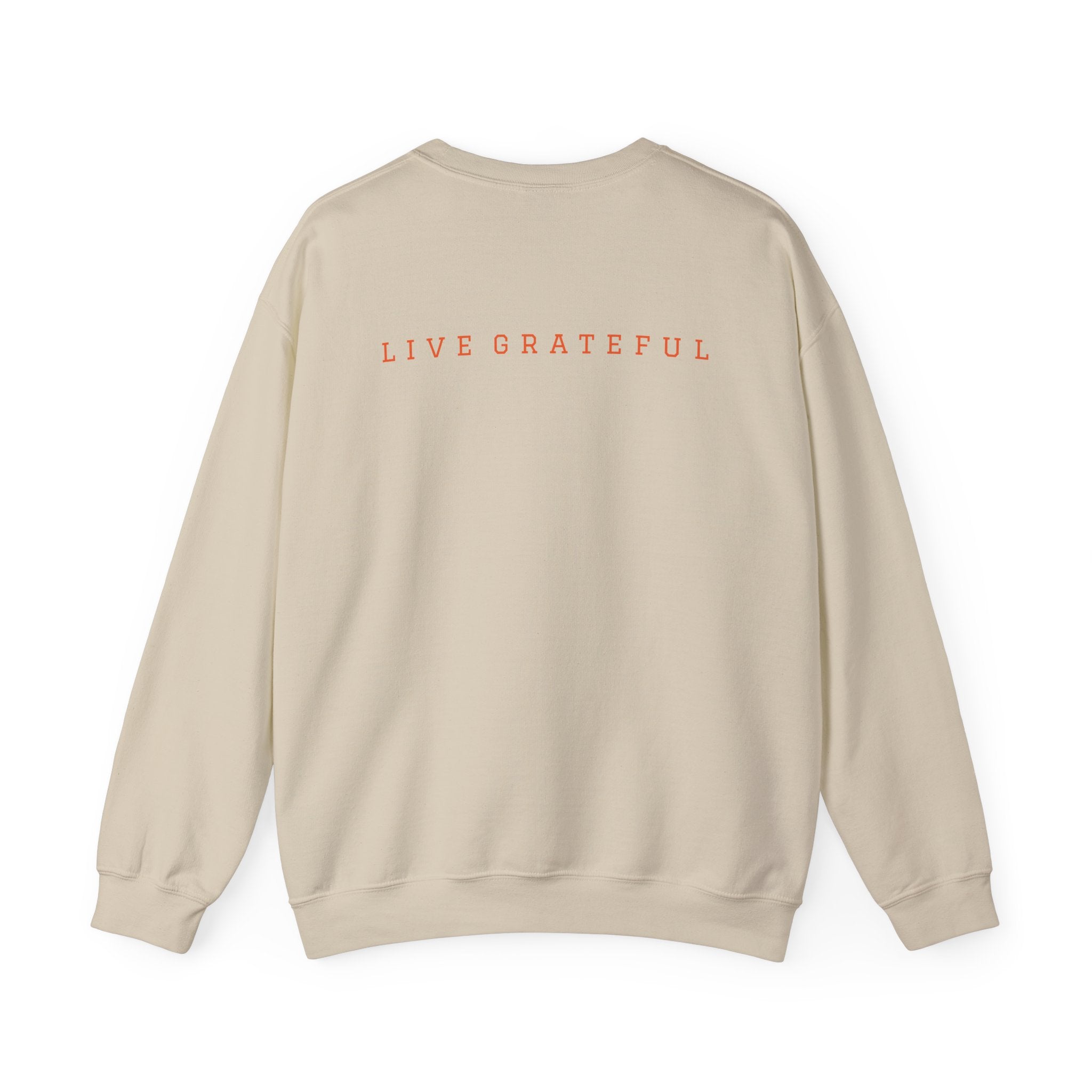 250 Grateful Seal Crewneck Sweatshirt Blk Txt — Retro American Flag '1776–2026' Circle Emblem with 'Live Grateful' Back