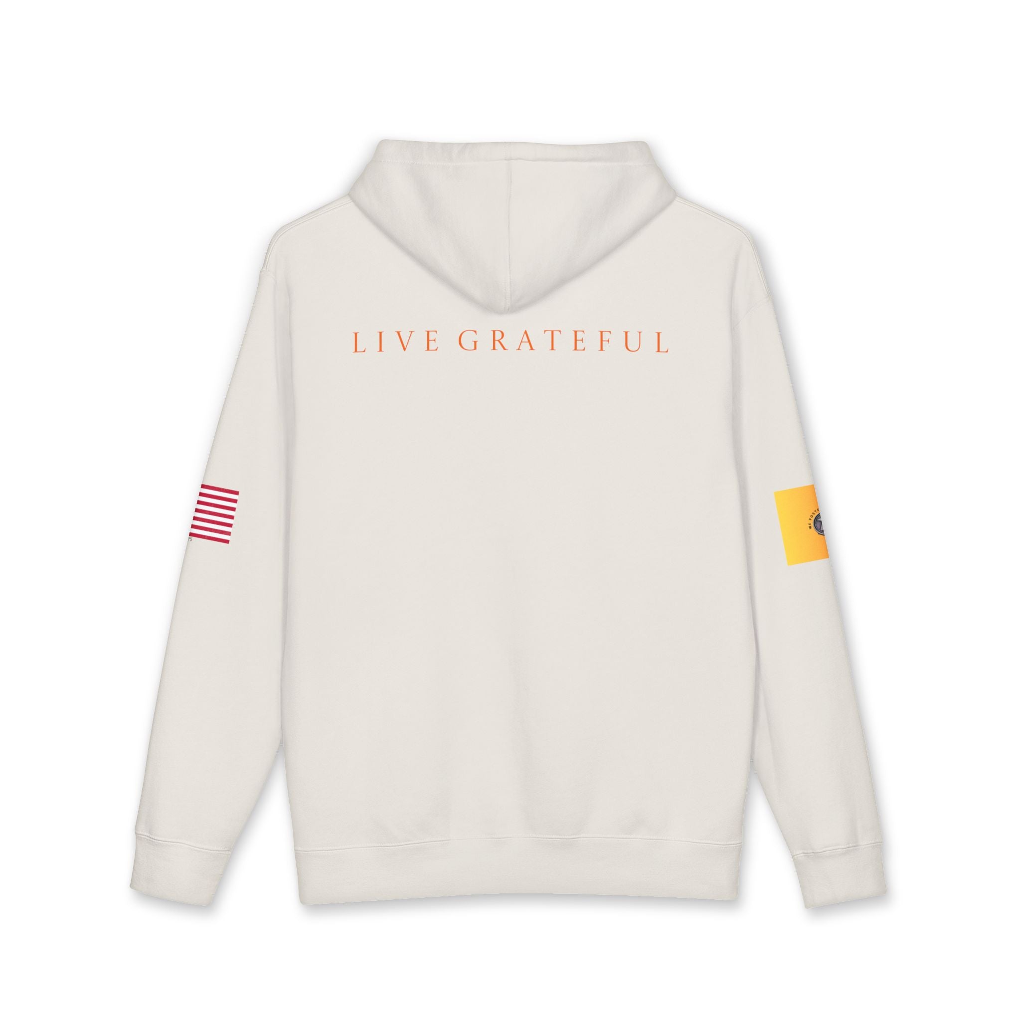 Education Gold Patch Hoodie — US Flag Sleeve Pullover