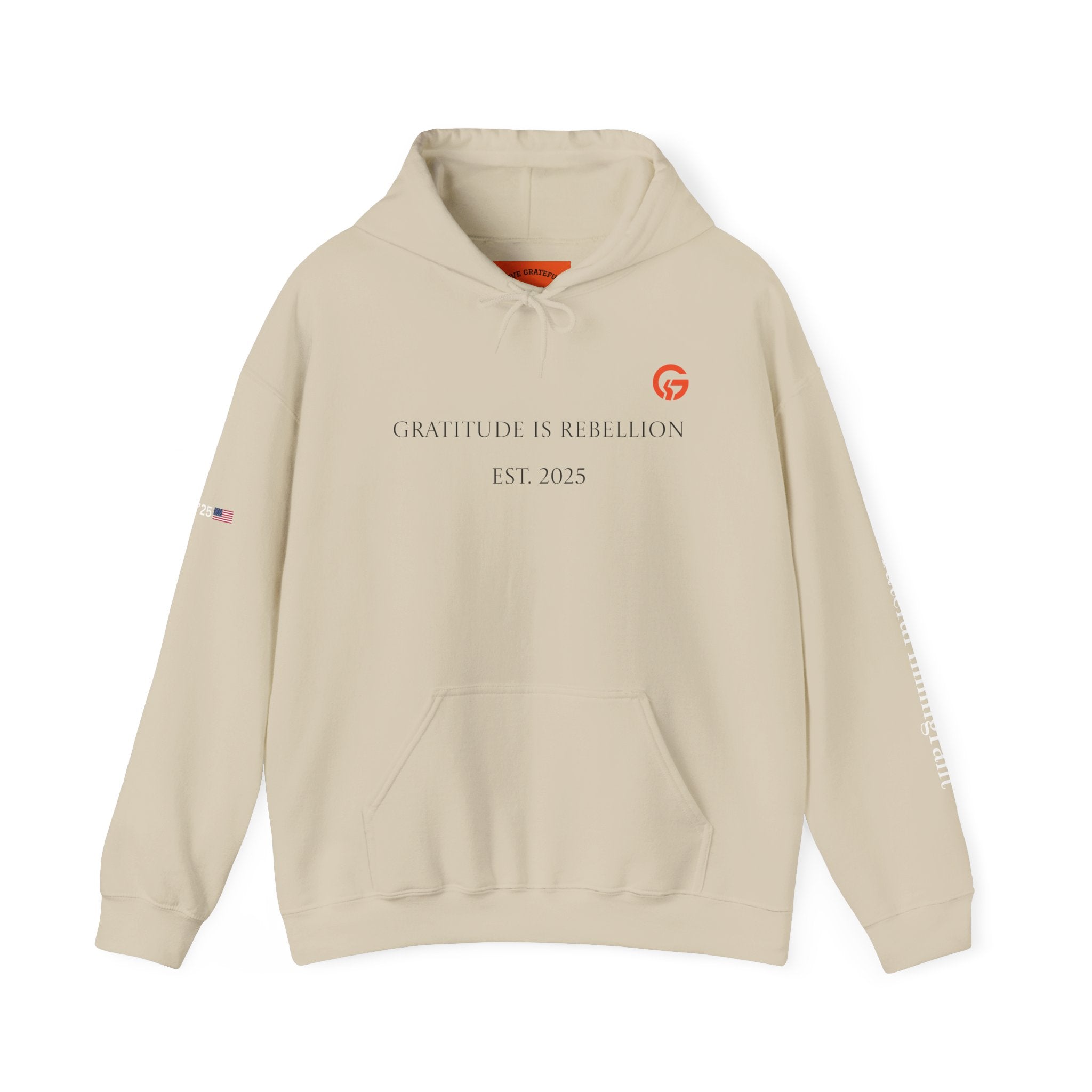 Gratitude Is Rebellion Hoodie WTXT — Live Grateful Sweatshirt