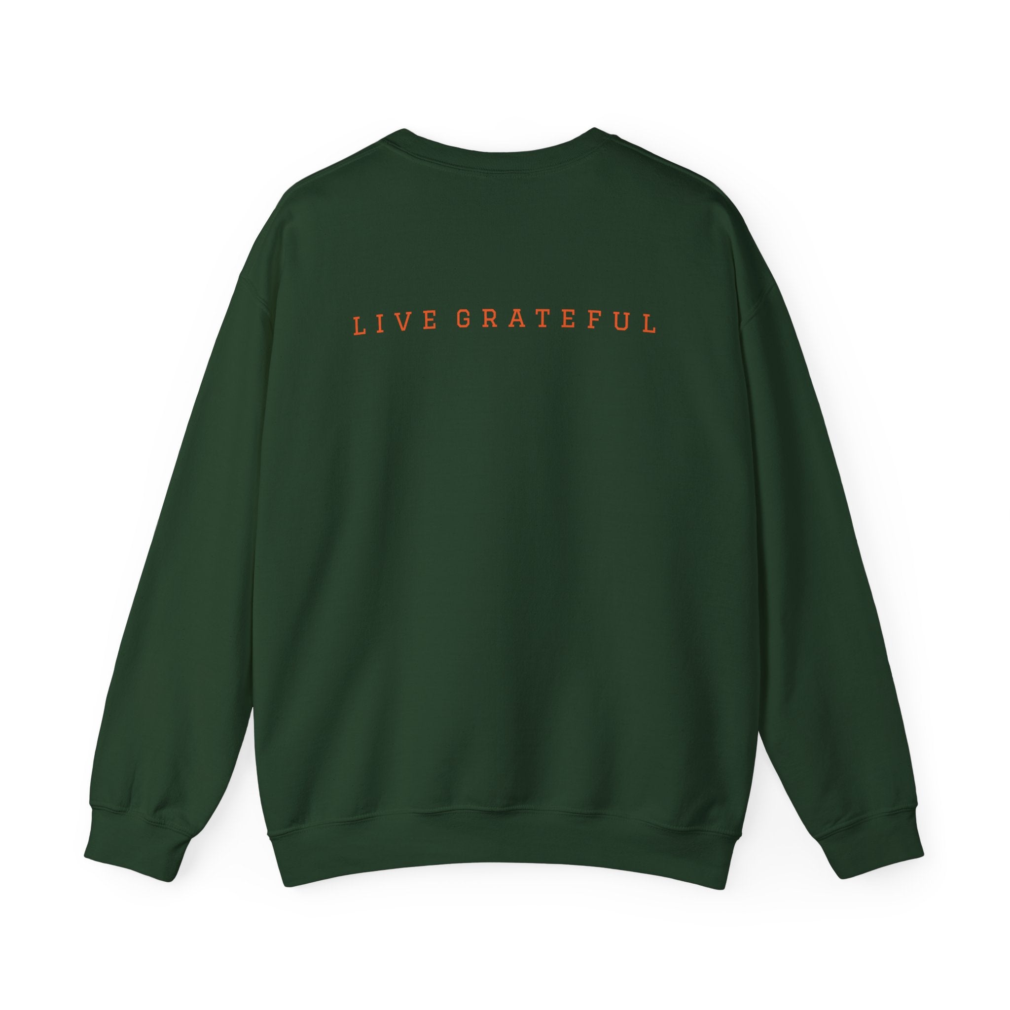 250 Grateful Seal Crewneck Sweatshirt — Retro American Flag '1776–2026' Circle Emblem with 'Live Grateful' Back