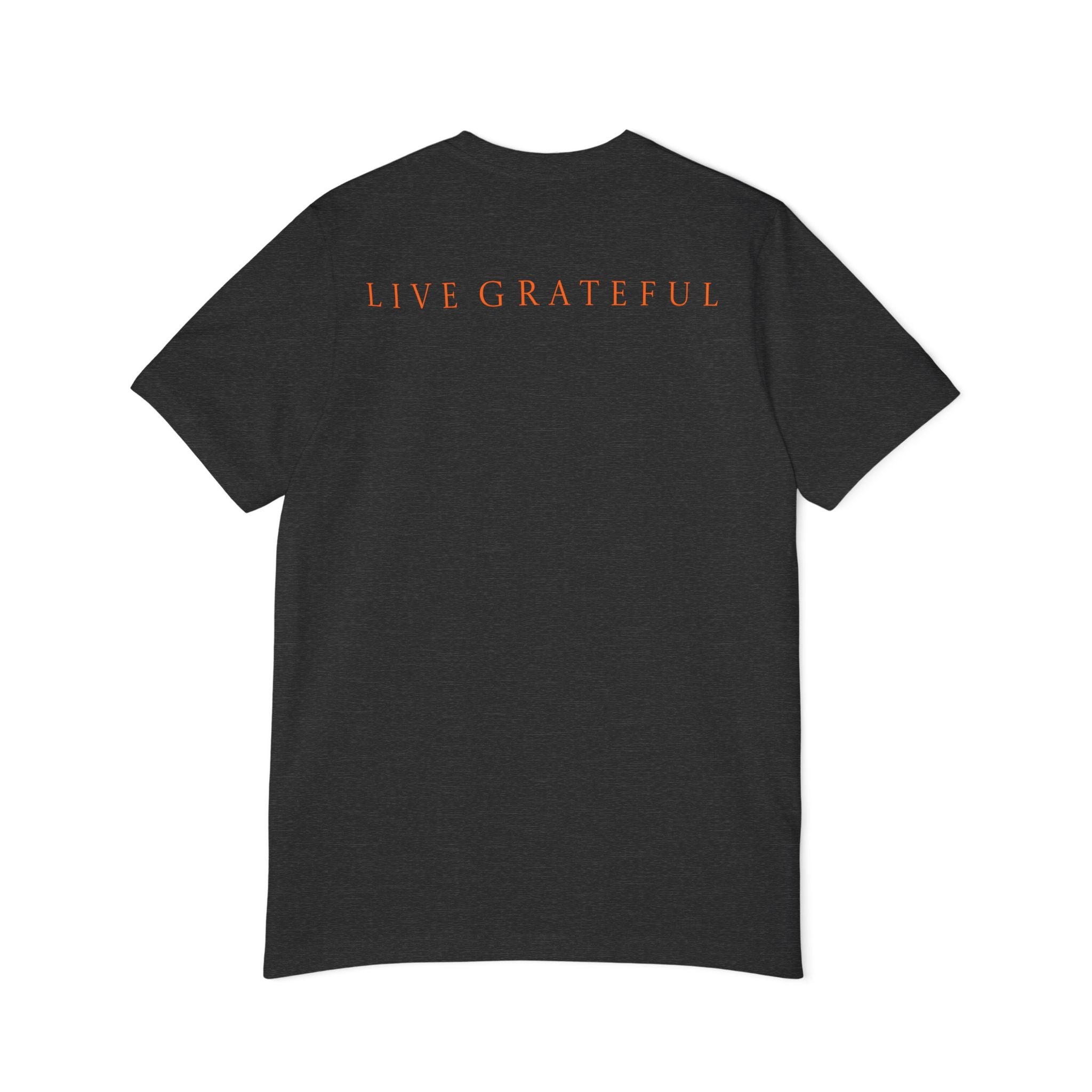Patriotic '250' Graphic Tee — Live Grateful Back Print